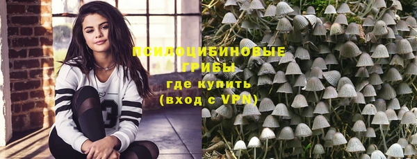 прущая мука Кемь