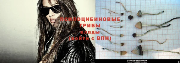 прущая мука Кемь