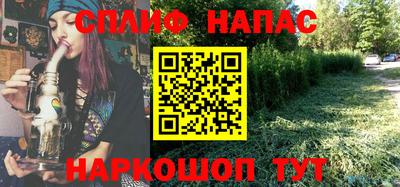 ешки Будённовск