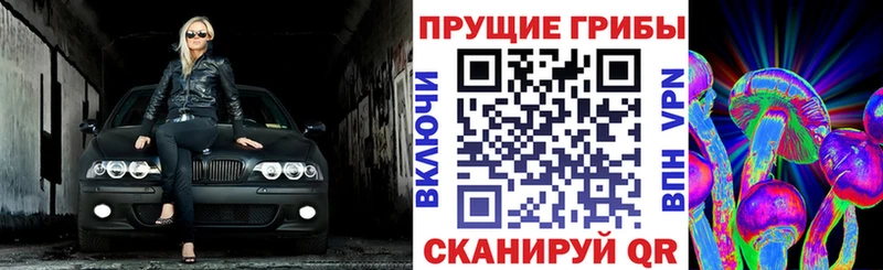 Галлюциногенные грибы Psilocybe Павлово