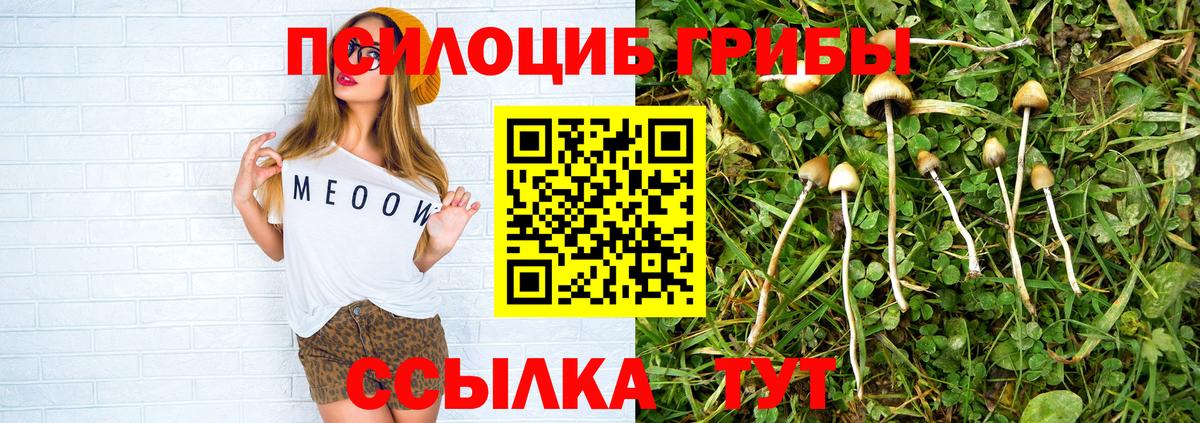 Псилоцибиновые грибы Magic Shrooms Павлово