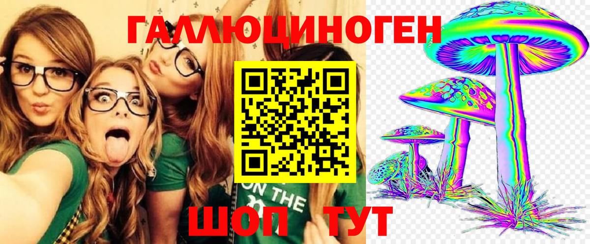 Псилоцибиновые грибы мухоморы  Павлово  Галлюциногенные грибы GOLDEN TEACHER 