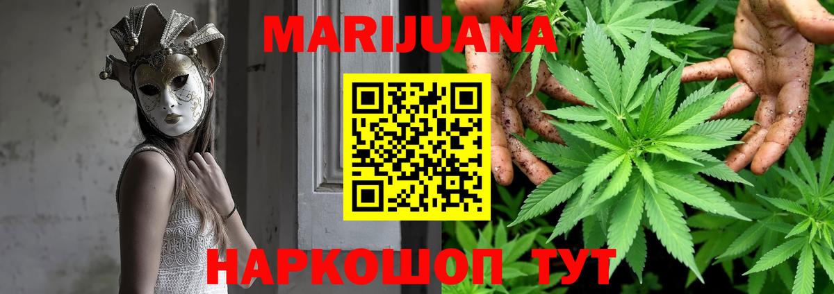 Конопля SATIVA & INDICA Павлово