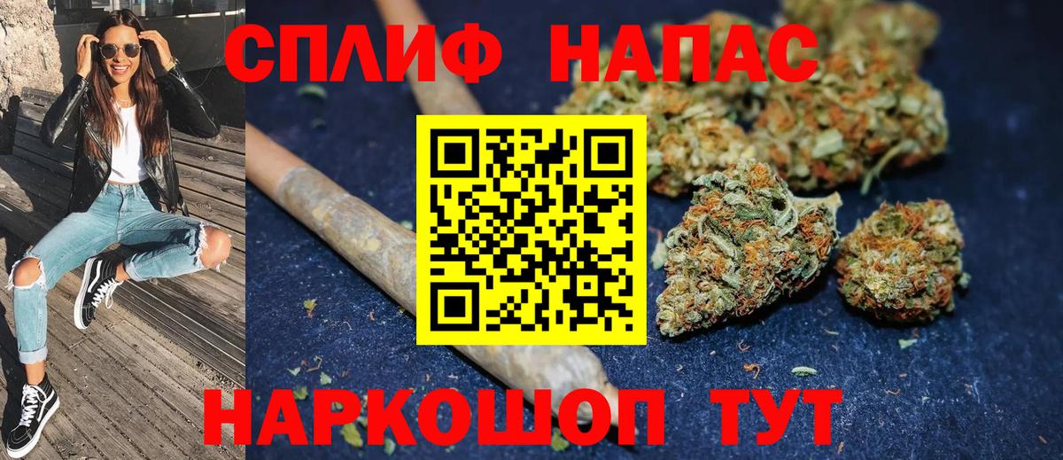 Бошки марихуана гибрид  Каннабис сатива  Павлово  Каннабис OG Kush  Канабис конопля 